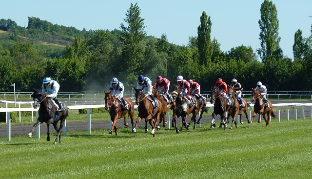 Why horse racing so popular? What are the most famous horse races? Popular horse racing events. To know these answers read article.