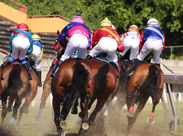 Why horse racing so popular? What are the most famous horse races? Popular horse racing events. 