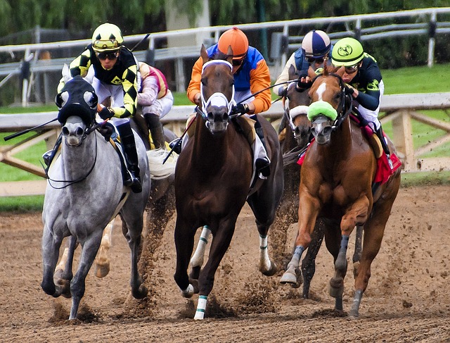 Why horse racing so popular? What are the most famous horse races? Popular horse racing events. Types of horse racing.